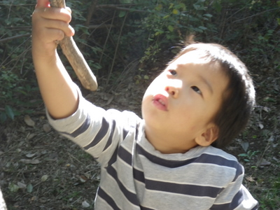 IMGP0153.JPG