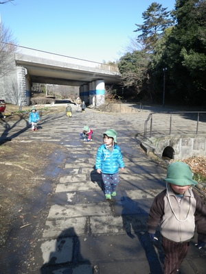 IMGP0005.JPG