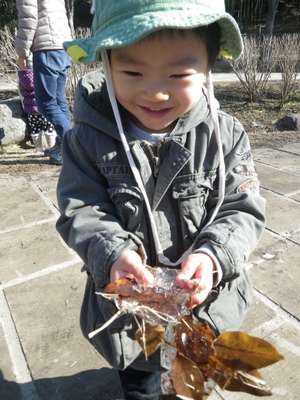 IMGP3727.JPG