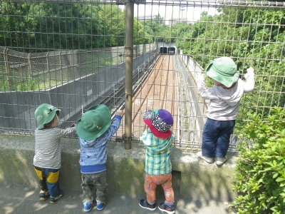 IMGP7682.JPG