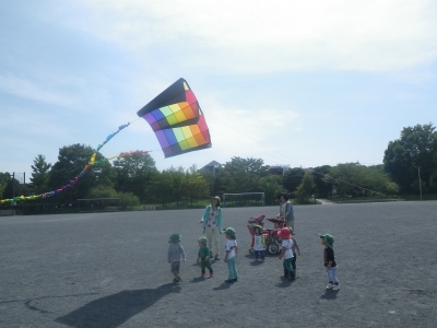 IMGP7743.JPG