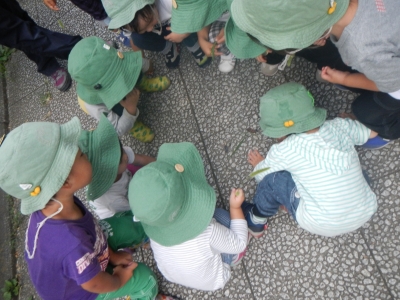 DSCN2433.JPG