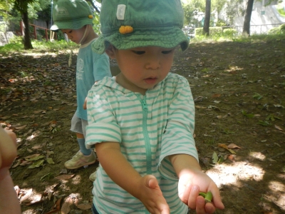DSCN2442.JPG