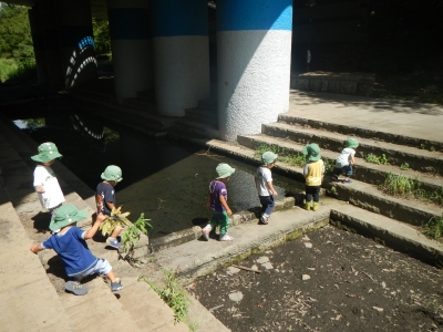DSCN2455.JPG