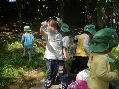 DSCN2463.JPG