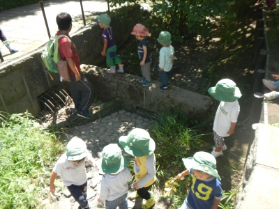 DSCN2473.JPG