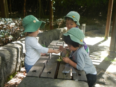 DSCN2475.JPG