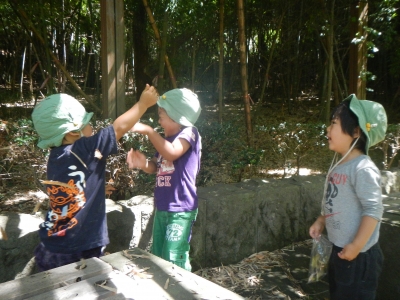 DSCN2486.JPG