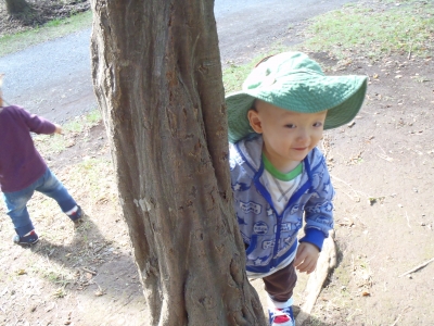 PA170041.JPG