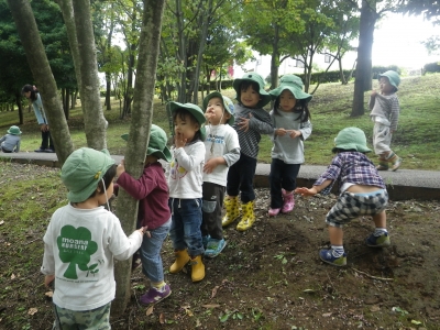 IMGP4511.JPG