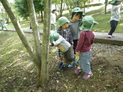 IMGP4507.JPG