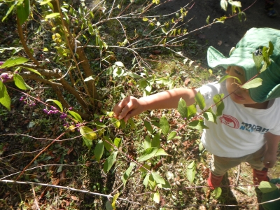 DSCN5074.JPG