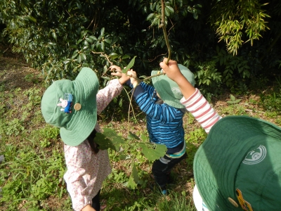 DSCN5177.JPG
