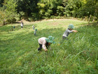 DSCN5135.JPG