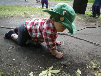 IMGP9378.JPG