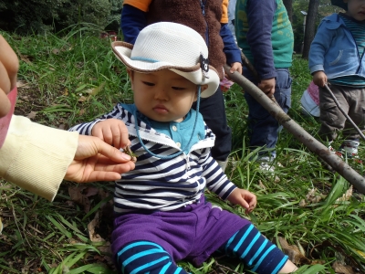 PA180019.JPG