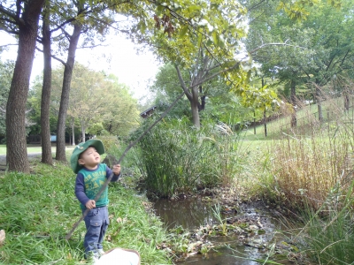 PA180022.JPG