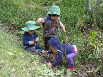 PA180047.JPG