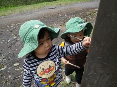 IMGP9381.JPG