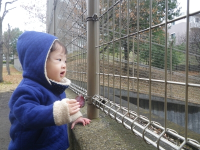 IMGP1655.JPG