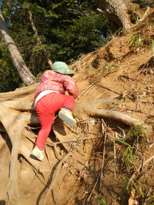 DSCN9590.JPG