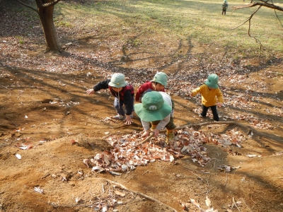 DSCN9618.JPG