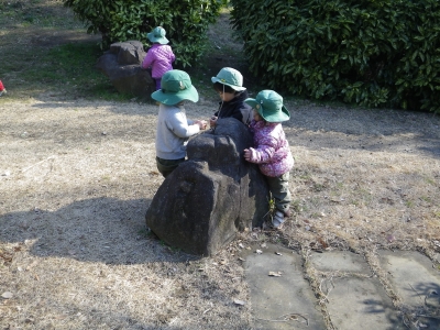 IMGP6779.JPG
