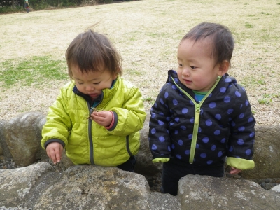 IMGP3763.JPG