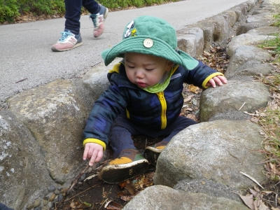 IMGP3768.JPG