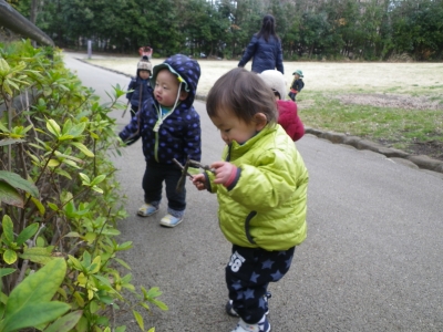 IMGP3770.JPG