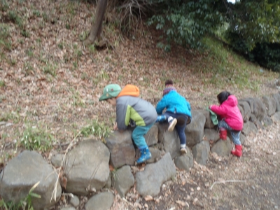 P3140041.JPG