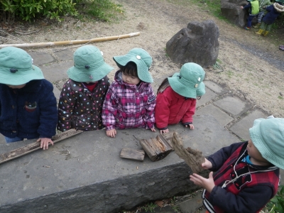 IMGP8713.JPG
