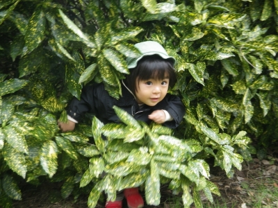 IMGP8633.JPG
