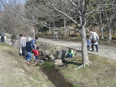 IMGP8736.JPG