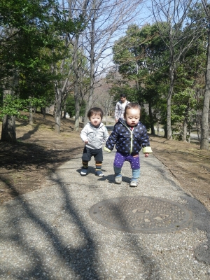 IMGP8756.JPG