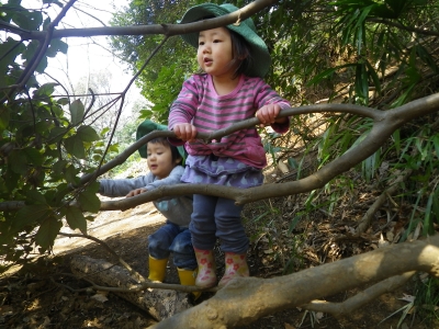 IMGP3779.JPG