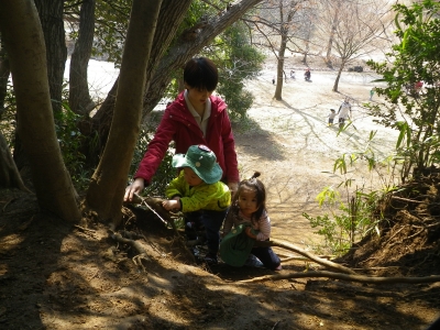 IMGP3801.JPG