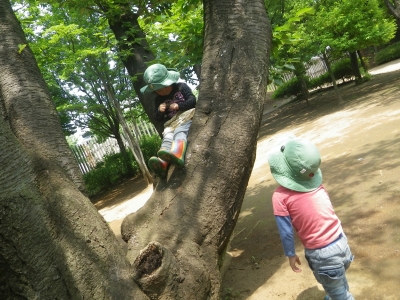 IMGP1026.JPG