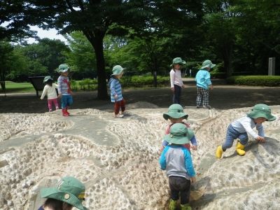 IMGP1031.JPG