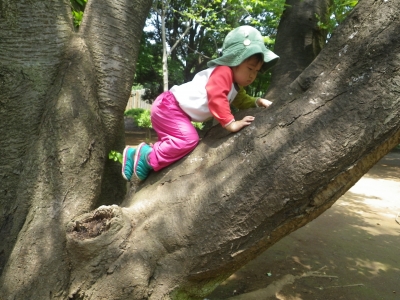 IMGP1035.JPG