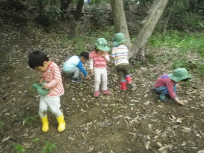 IMGP1050.JPG