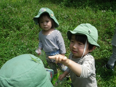 IMGP1155.JPG