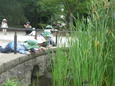 IMGP7148.JPG