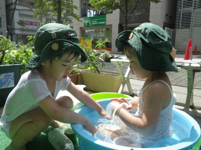 IMGP7224.JPG