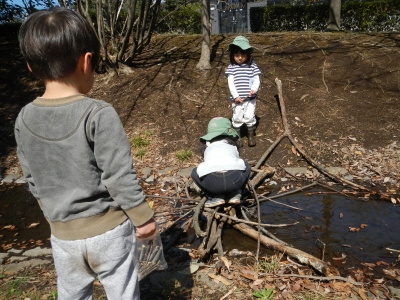 DSCN0121.JPG