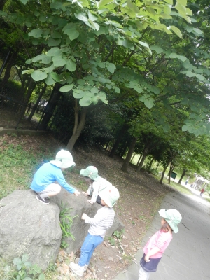 DSCN6887.JPG