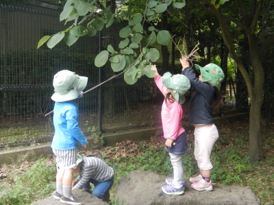 DSCN6891.JPG