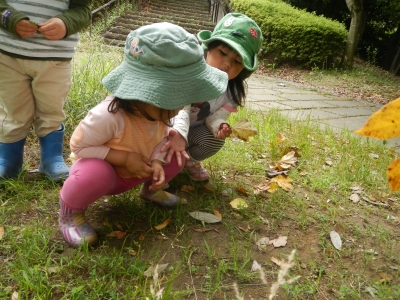 DSCN6910.JPG