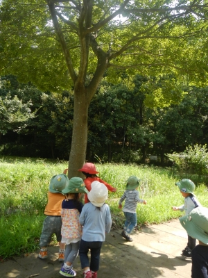 DSCN8381.JPG