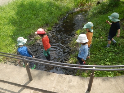 DSCN8384.JPG